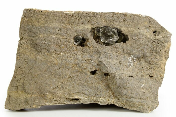 Herkimer Diamonds in Matrix - The Ace of Diamonds Mine, New York #324506